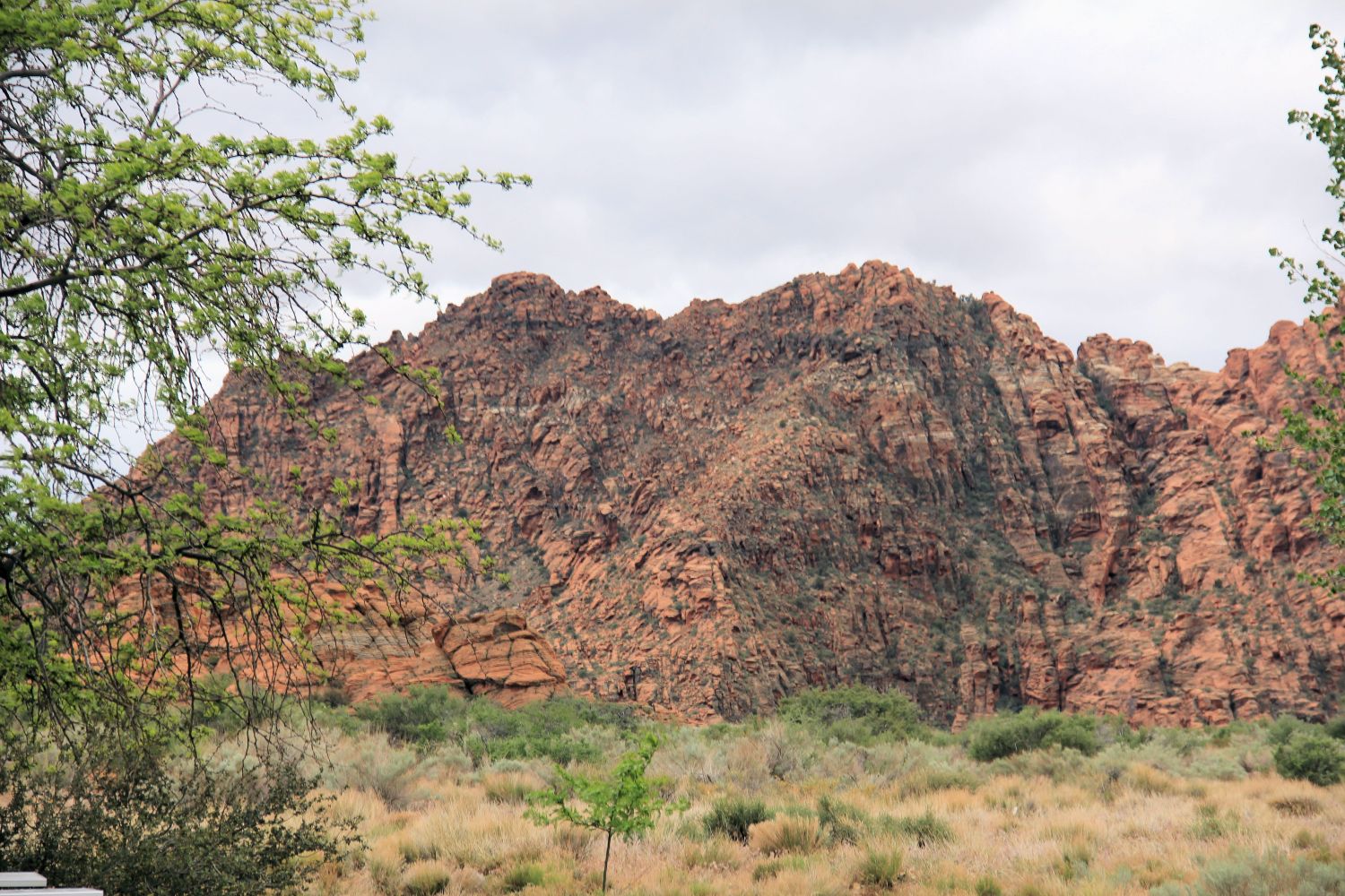 Snow Canyon State Park 